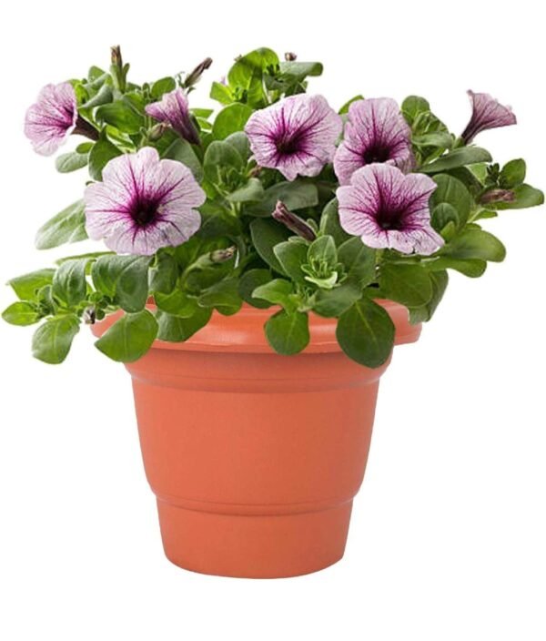 16" inch pack of 2 pcs flower and plants pots /gamla in plastic - Image 3